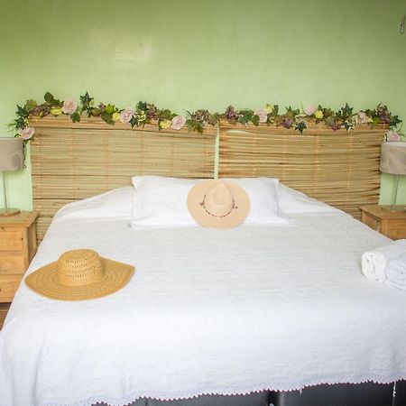 7 San Fernando, Bacalar Villa Jimmy Ngoại thất bức ảnh